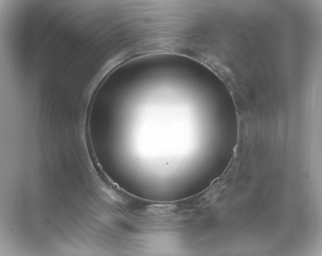 X0000071390051200607071918