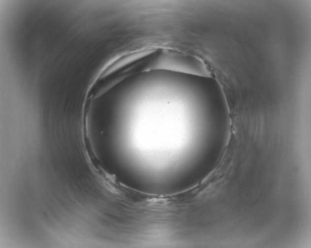 X0000071390052200607071918