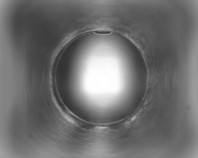 X0000071390055200607071919