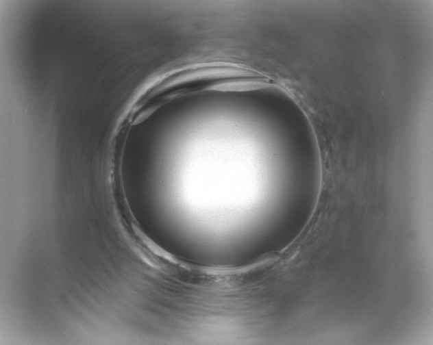 X0000071390056200607071919