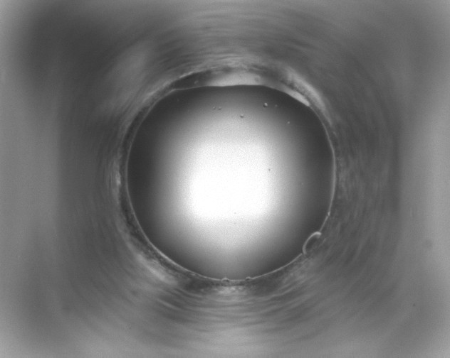 X0000071390059200607071919