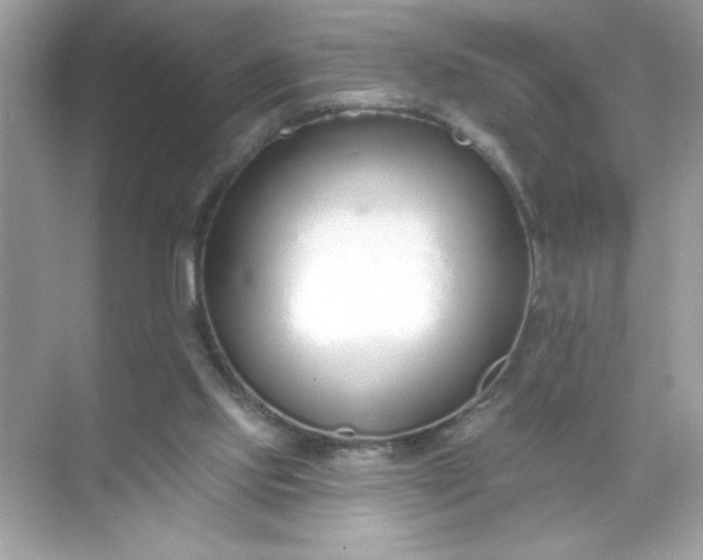 X0000071390061200607071919