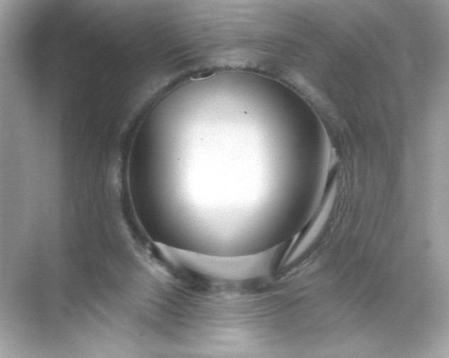 X0000071390064200607071919