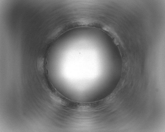 X0000071390066200607071919