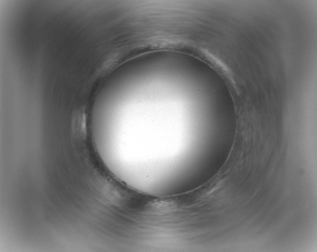 X0000071390067200607071919