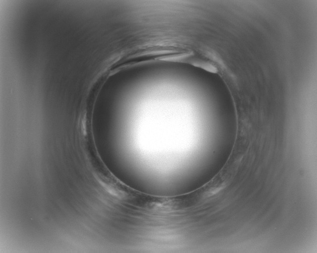 X0000071390068200607071919