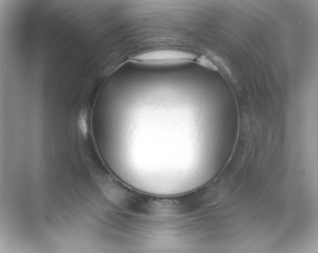 X0000071390069200607071919