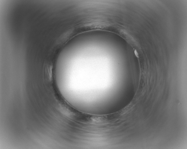 X0000071390070200607071919