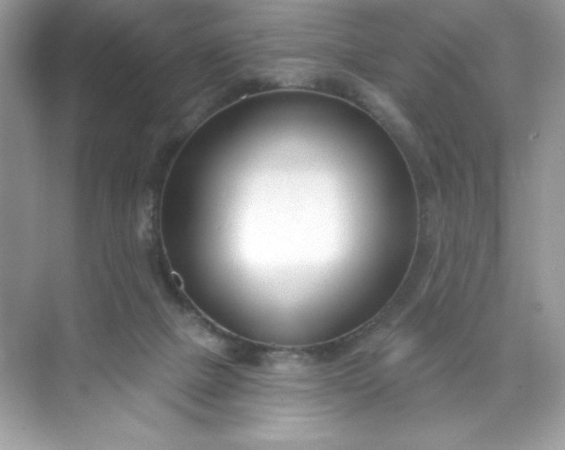X0000071390073200607071919