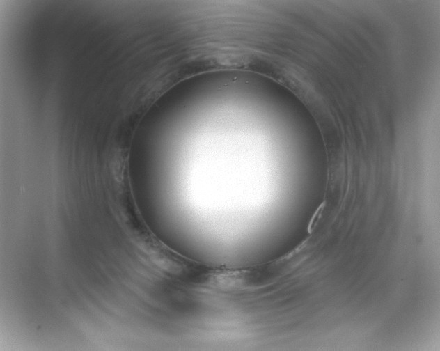 X0000071390078200607071919