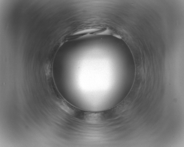 X0000071390081200607071919