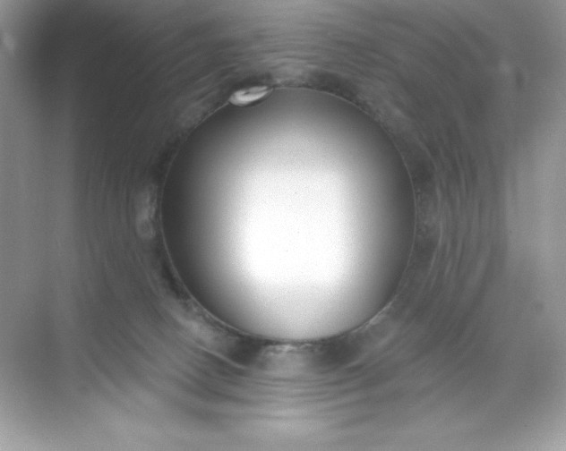 X0000071390082200607071919