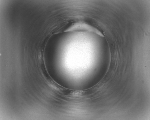 X0000071390084200607071919