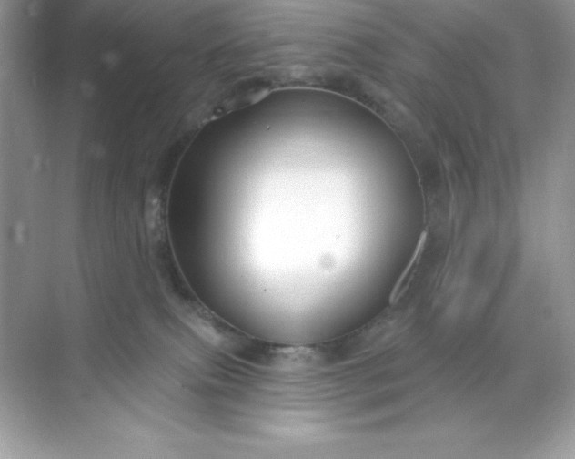 X0000071390087200607071919