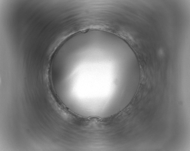 X0000071390098200607071918