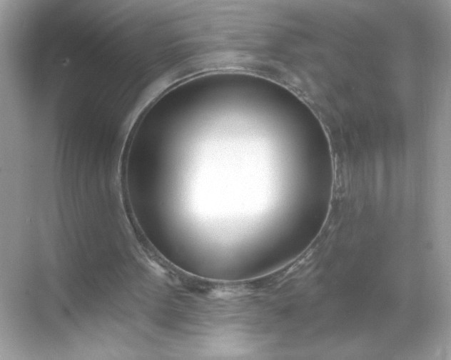 X0000071390099200607071918