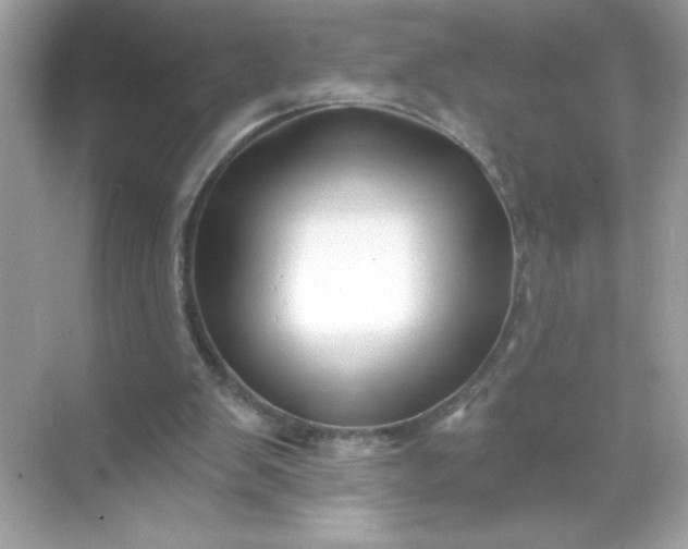 X0000071390103200607071918