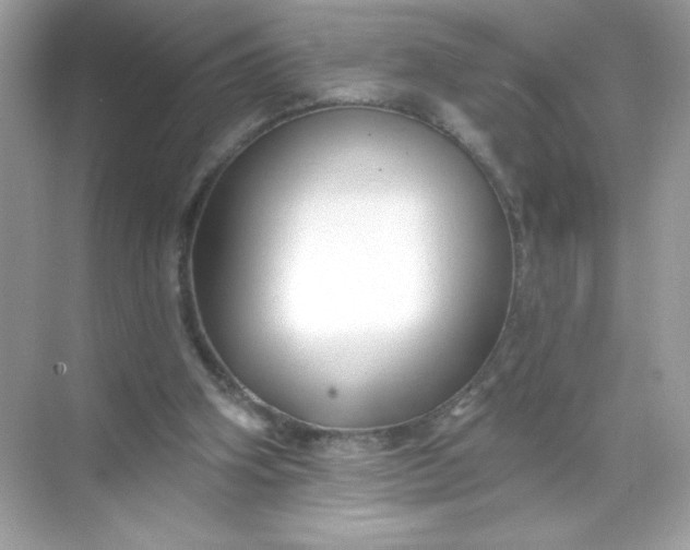 X0000071390106200607071918