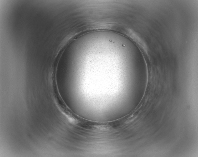 X0000071390107200607071918