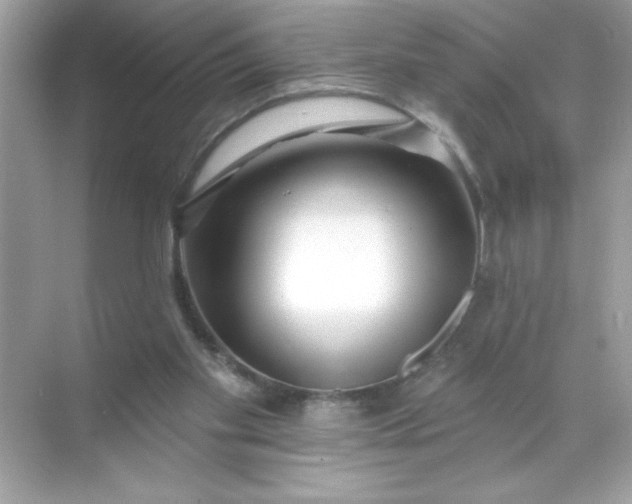 X0000071390109200607071918
