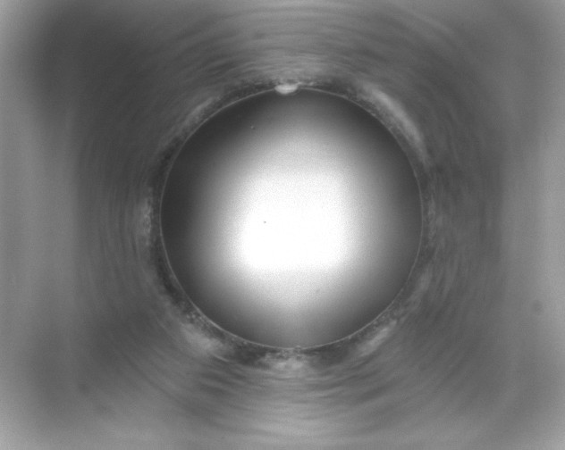 X0000071390113200607071918