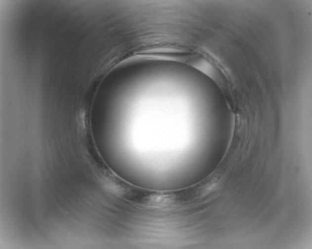 X0000071390117200607071918