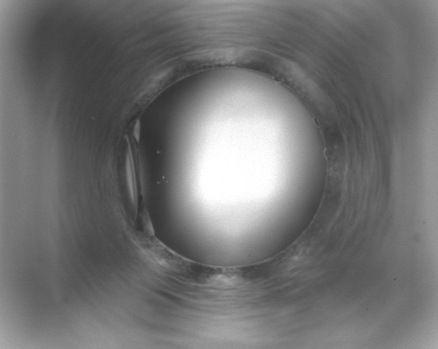 X0000071390119200607071918