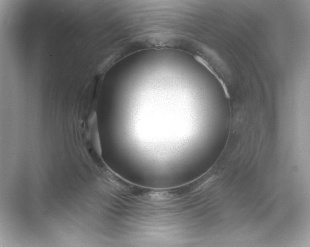 X0000071390121200607071918