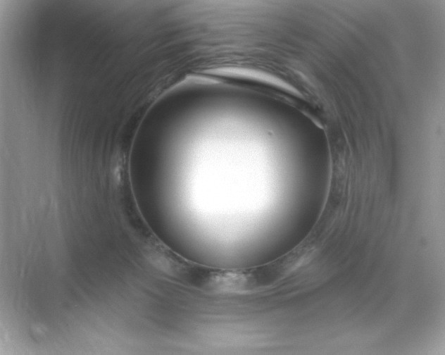 X0000071390125200607071918
