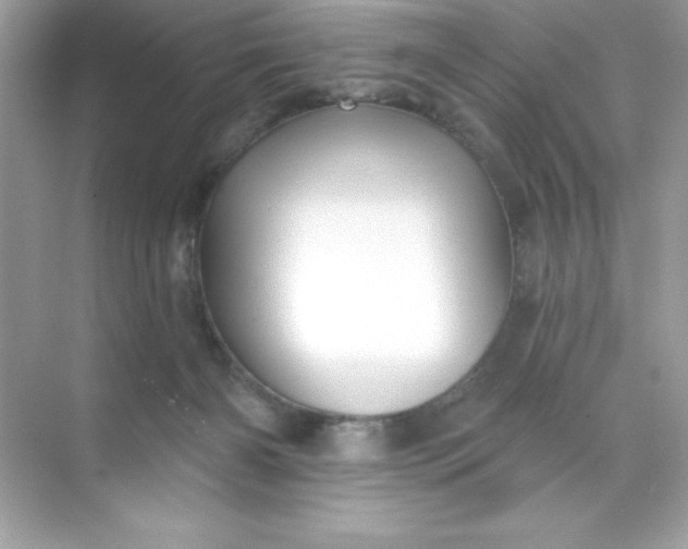 X0000071390126200607071918