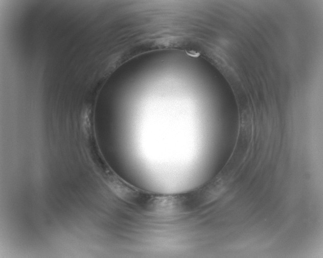 X0000071390127200607071918