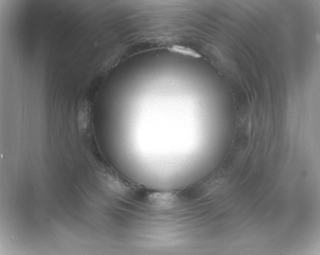X0000071390133200607071918