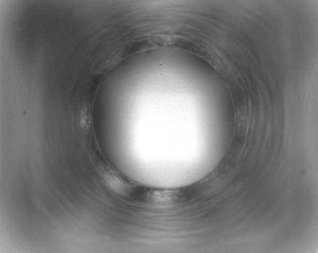 X0000071390134200607071918