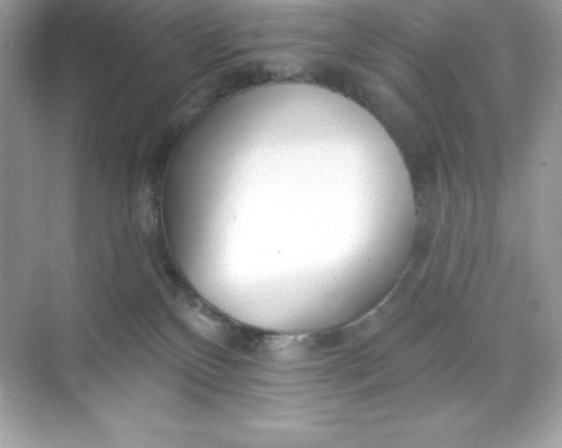 X0000071390136200607071918
