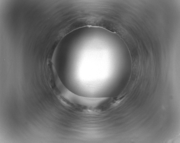 X0000071390137200607071918