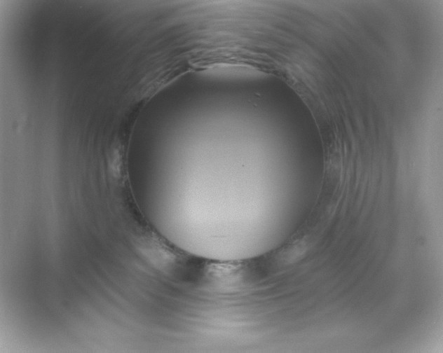 X0000071390139200607071918