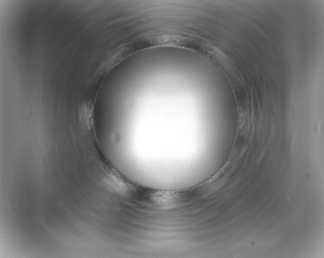 X0000071390142200607071918
