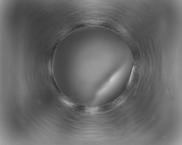 X0000071390143200607071918