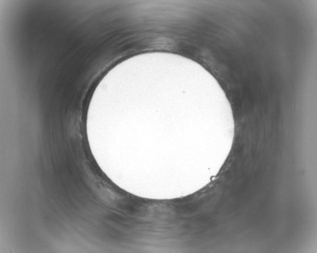 X0000071390146200607071917