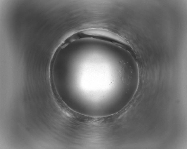 X0000071390148200607071917