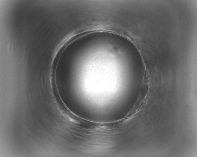 X0000071390152200607071917