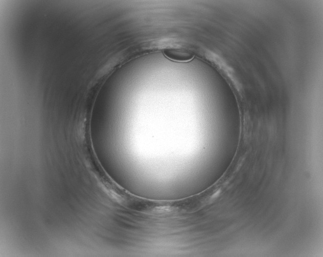 X0000071390153200607071917