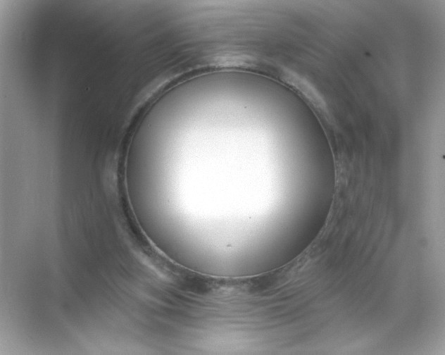 X0000071390155200607071917