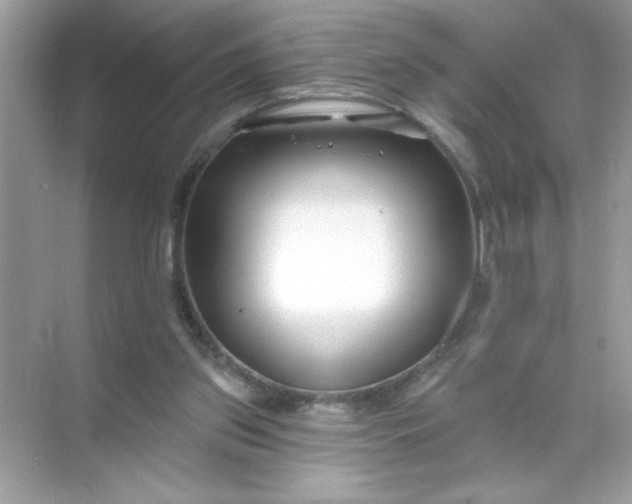 X0000071390157200607071917