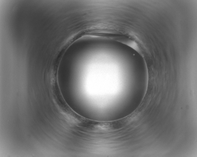 X0000071390164200607071917
