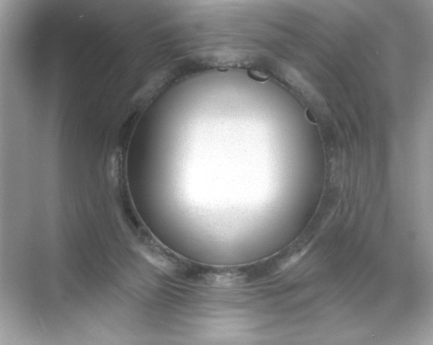 X0000071390165200607071917