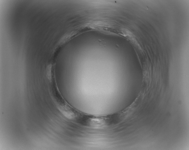 X0000071390167200607071917