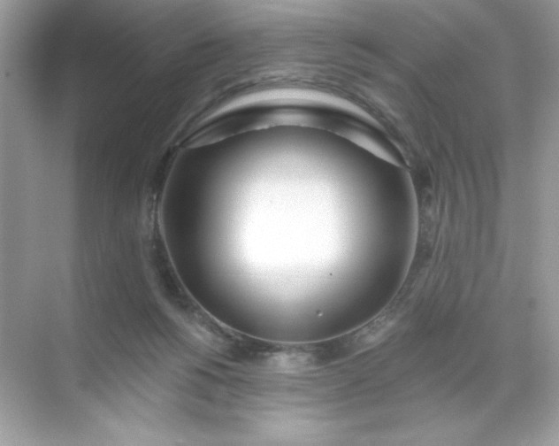 X0000071390168200607071917