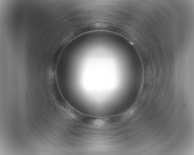 X0000071390176200607071917