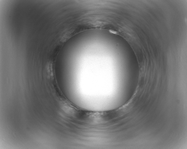 X0000071390182200607071917